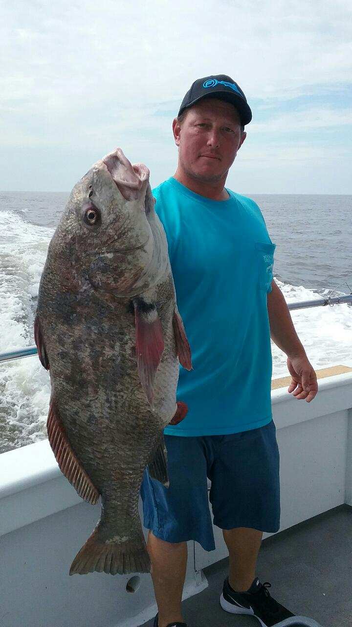 Nice Drumfish caught aboard the Miss Chris, Cape May, NJ
