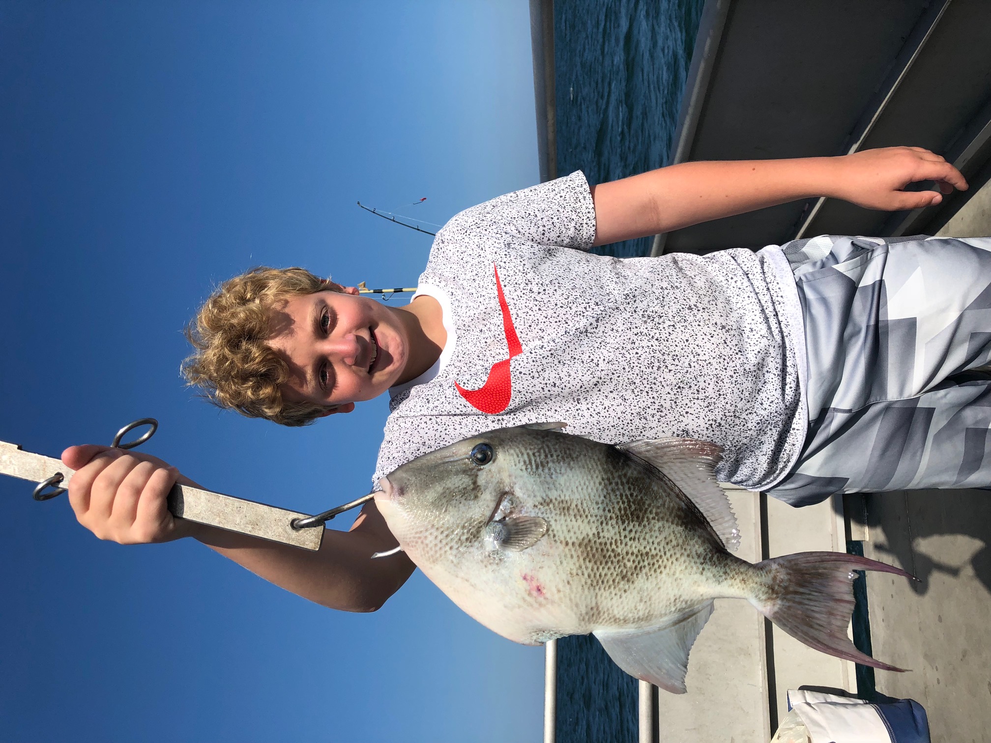 Tasty Triggerfish caught off of Wildwood Crest, New Jersey